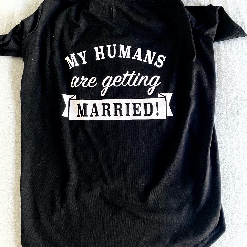 Dog shirt